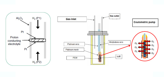 Tecnologías Avanzadas de Detección Electroquímica